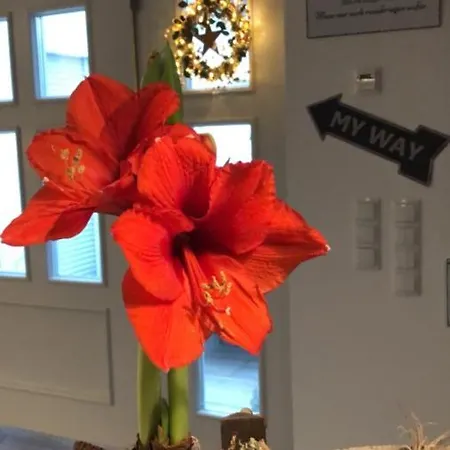 Appartement Homeflair *