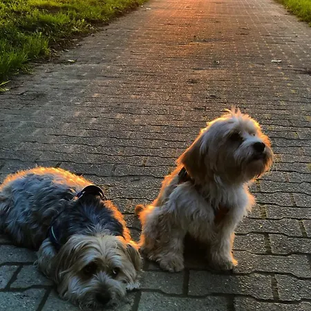 Homeflair Appartement Niederkassel