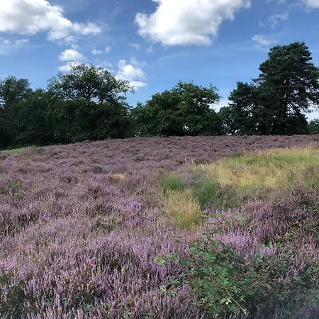 Homeflair Niederkassel