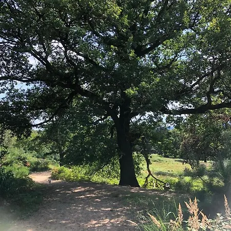 Homeflair Niederkassel