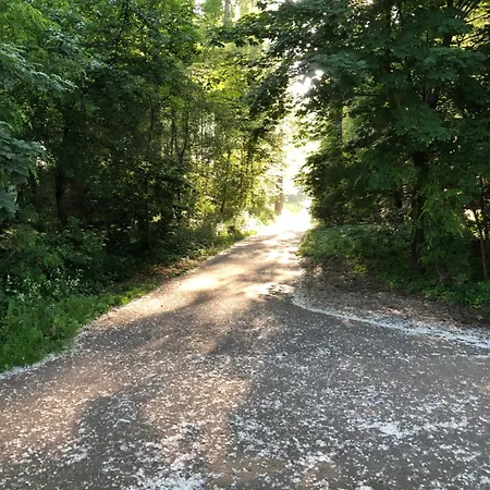 דירה Homeflair *