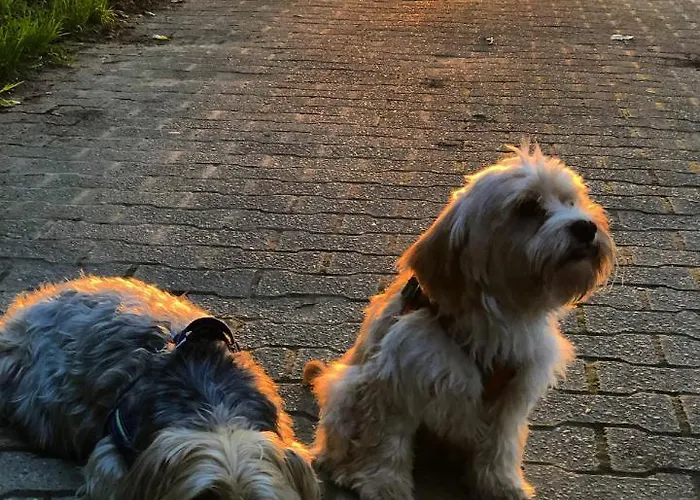 Homeflair Apartmán Niederkassel