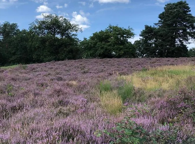 Homeflair Niederkassel