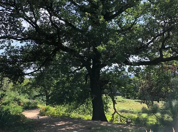 Homeflair Niederkassel