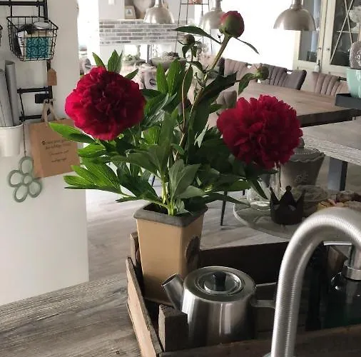 Homeflair Niederkassel