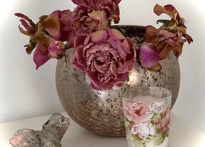 Daire Homeflair Niederkassel