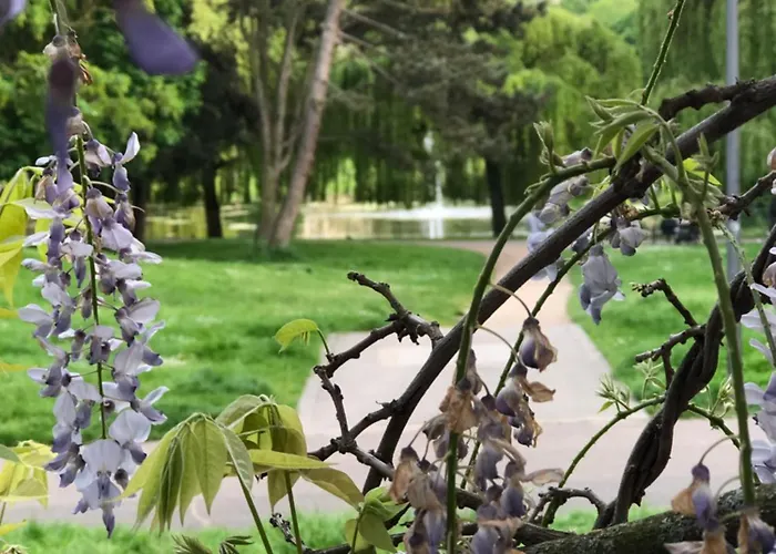 Homeflair Apartmán *