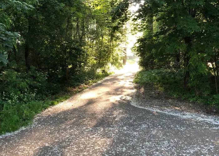 Apartmán Homeflair *