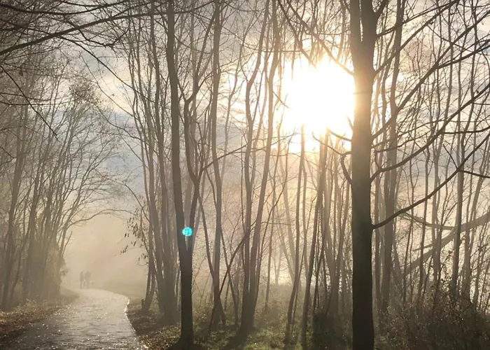 Homeflair Daire Niederkassel