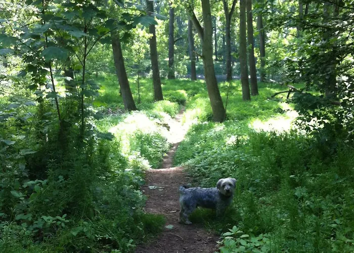 Homeflair Niederkassel